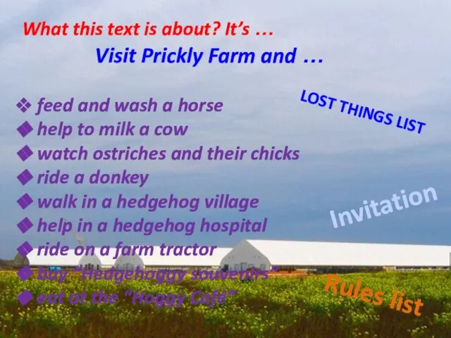 Visit Prickly Farm and … feed and wash a horse help to