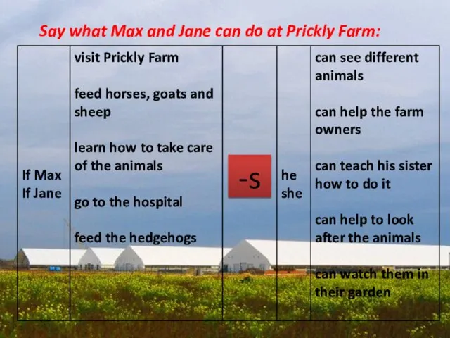 Say what Max and Jane can do at Prickly Farm: -s