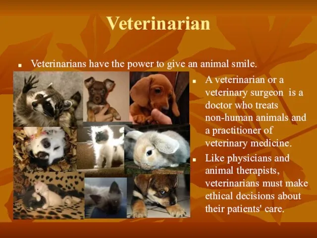Veterinarian Veterinarians have the power to give an animal smile. A veterinarian