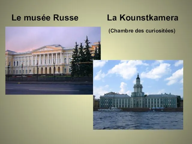 Le musée Russe La Kounstkamera (Chambre des curiositées)