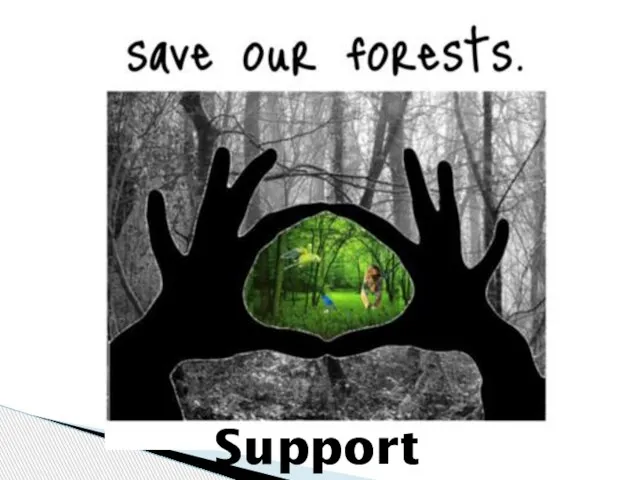 Support eco-organizations