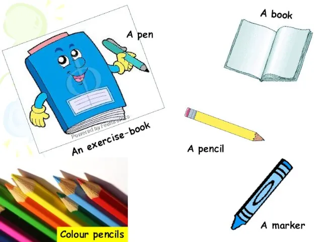 Colour pencils A book An exercise-book A pen A pencil A marker