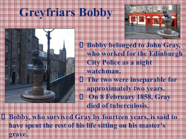 Greyfriars Bobby Bobby belonged to John Gray, who worked for the Edinburgh