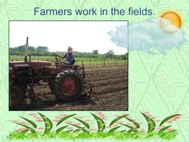 Farmers work in the fields.