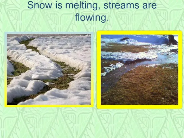 Snow is melting, streams are flowing.