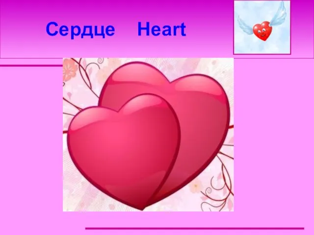 Сердце Heart