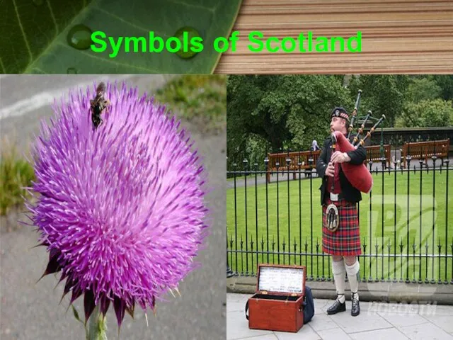 Symbols of Scotland