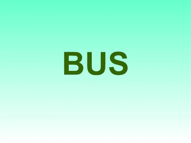 BUS