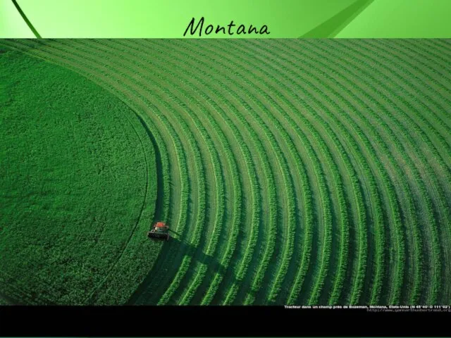 Montana