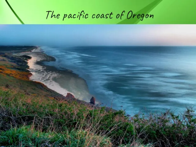 The pacific coast of Oregon