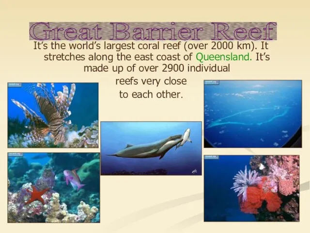 It’s the world’s largest coral reef (over 2000 km). It stretches along