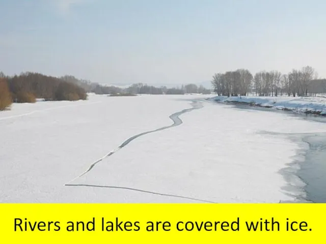 Rivers and lakes are covered with ice.