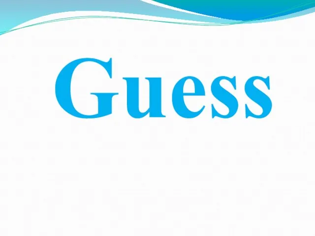 Guess