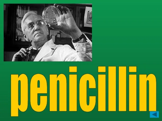 penicillin