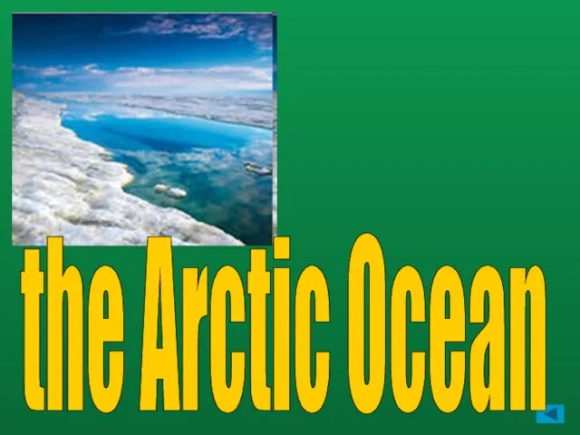 the Arctic Ocean