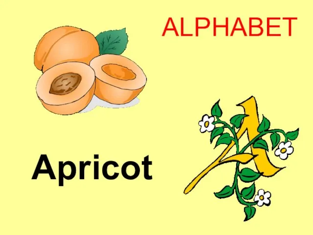 Apricot ALPHABET