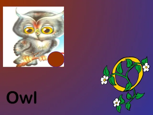 Owl