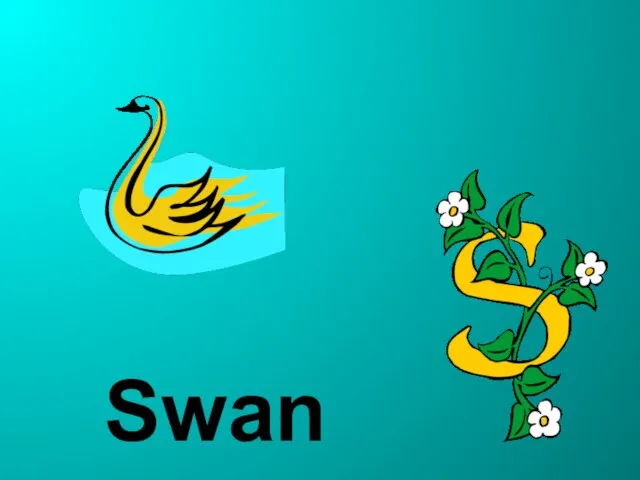 Swan