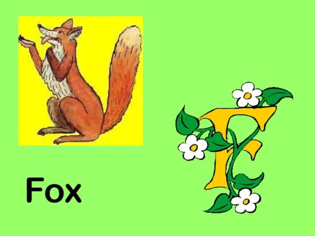 Fox