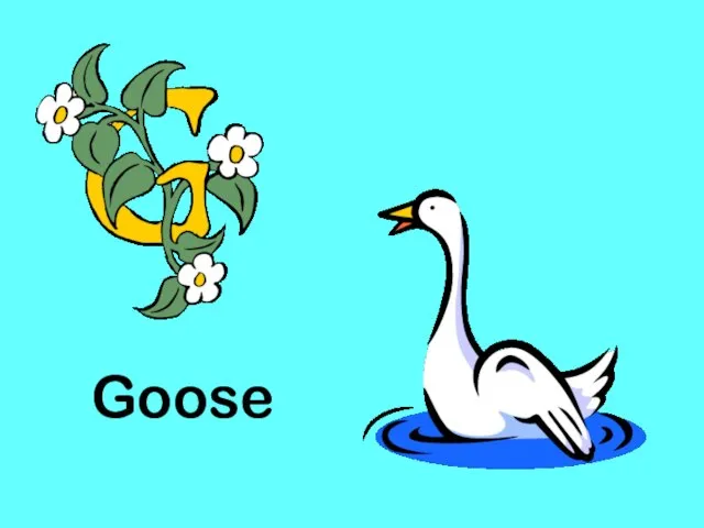 Goose