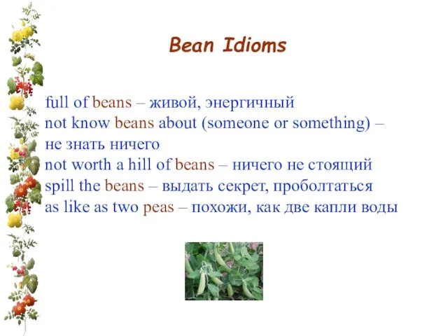 Bean Idioms full of beans – живой, энергичный not know beans about