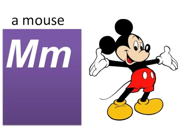 a mouse Mm