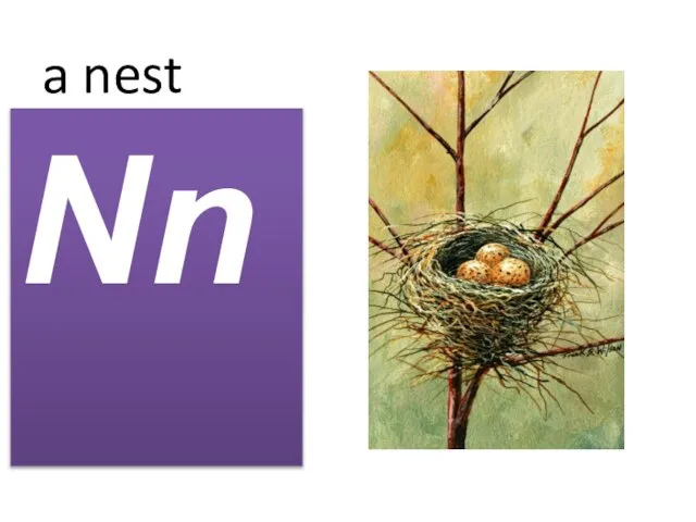 a nest Nn