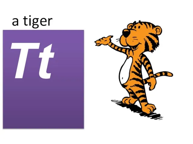 a tiger Tt
