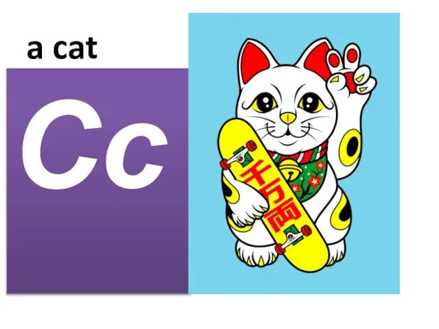 a cat Cc