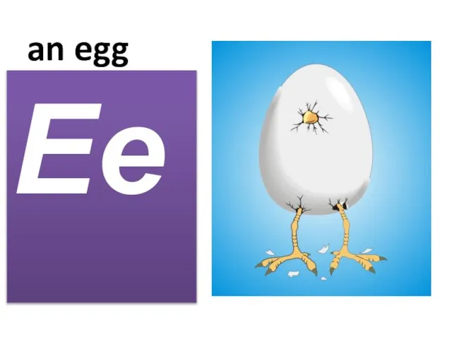 an egg Ee
