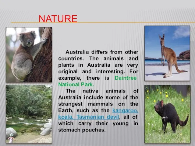 Nature Australia differs from other countries. The animals and plants in Australia