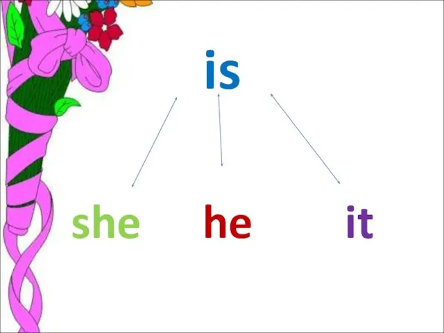 is she he it