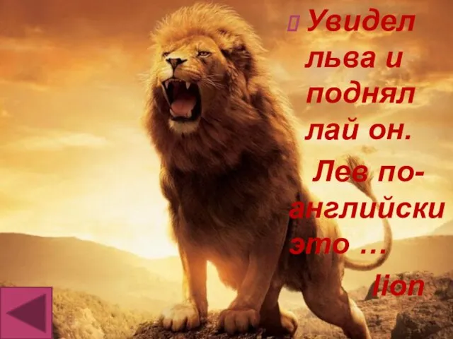 Увидел льва и поднял лай он. Лев по-английски это … lion