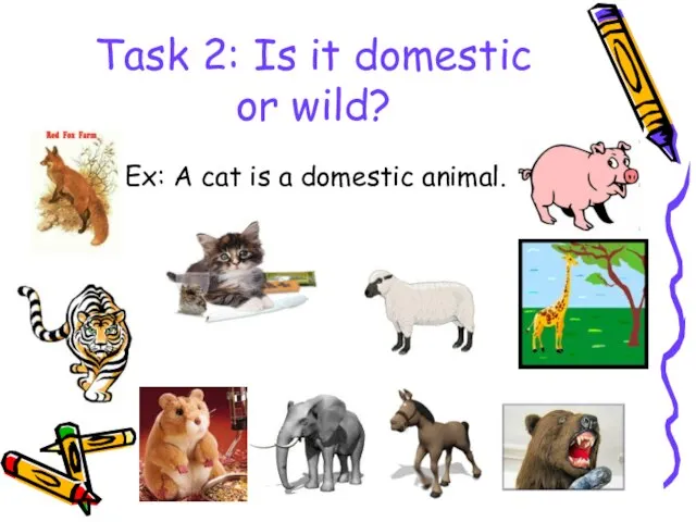 Task 2: Is it domestic or wild? Ex: A cat is a domestic animal.