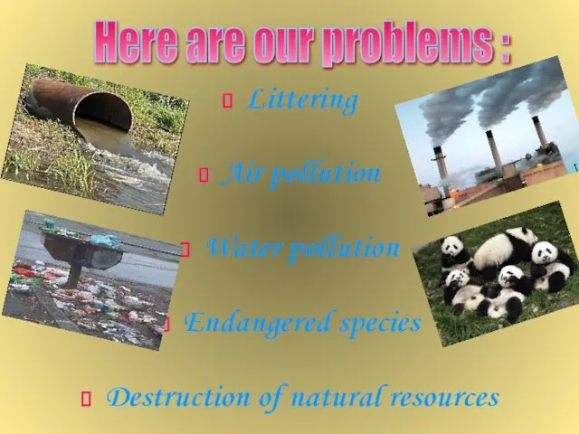 Littering Air pollution Water pollution Endangered species Destruction of natural resources Here are our problems :