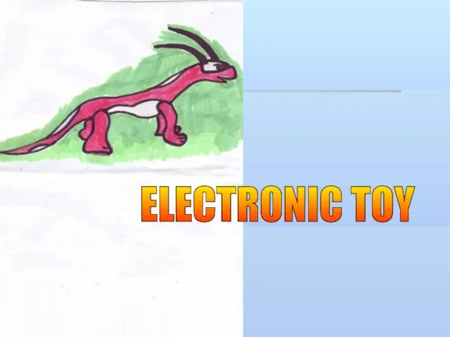 ELECTRONIC TOY