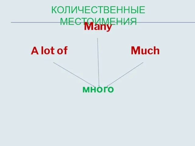 КОЛИЧЕСТВЕННЫЕ МЕСТОИМЕНИЯ Many А lot of Much много