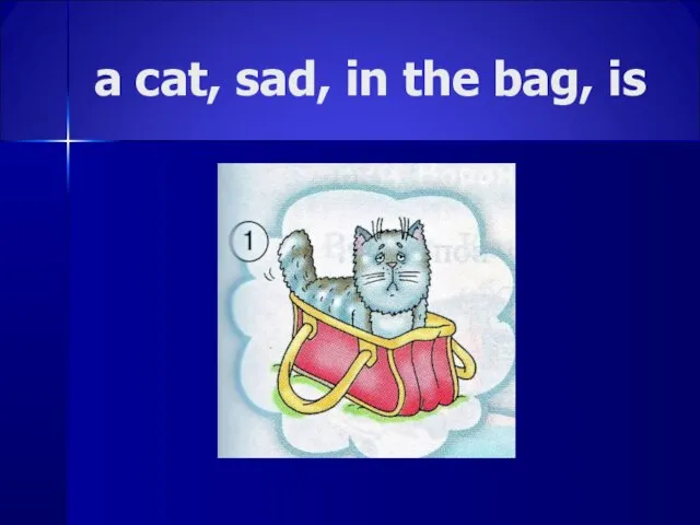 a cat, sad, in the bag, is