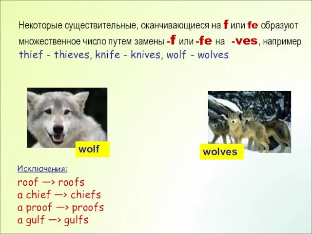 Некоторые существительные, оканчивающиеся на f или fe образуют множественное число путем замены