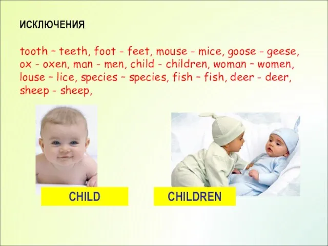 ИСКЛЮЧЕНИЯ tooth – teeth, foot - feet, mouse - mice, goose -