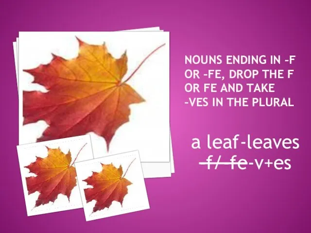 Nouns ending in –f or –fe, drop the f or fe and
