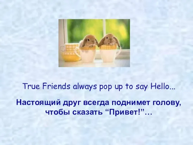 True Friends always pop up to say Hello... Настоящий друг всегда поднимет голову, чтобы сказать “Привет!”…
