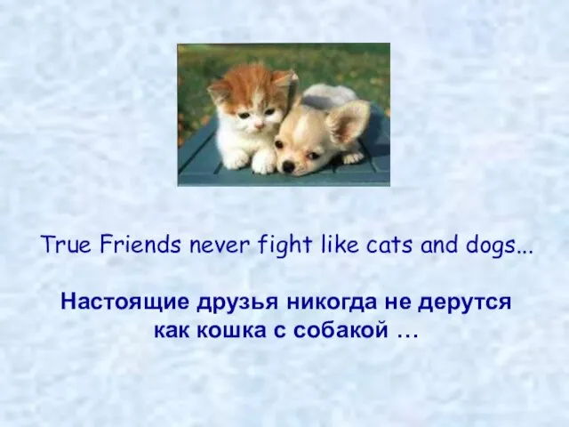True Friends never fight like cats and dogs... Настоящие друзья никогда не