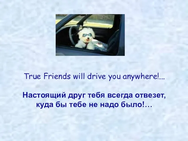 True Friends will drive you anywhere!... Настоящий друг тебя всегда отвезет, куда