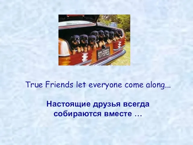 True Friends let everyone come along... Настоящие друзья всегда собираются вместе …