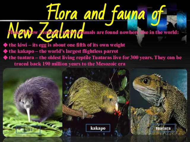 Flora and fauna of New Zealand Many of New Zealand’s native animals