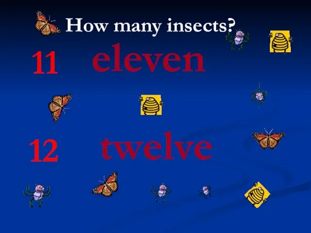 11 eleven 12 twelve How many insects?