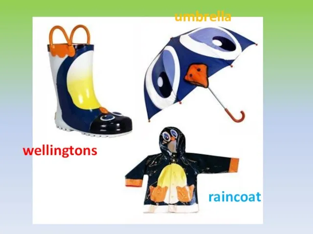 wellingtons umbrella raincoat