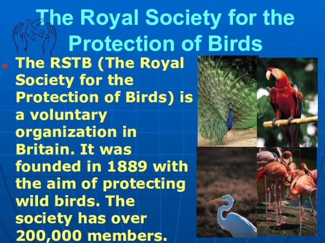 The Royal Society for the Protection of Birds The RSTB (The Royal
