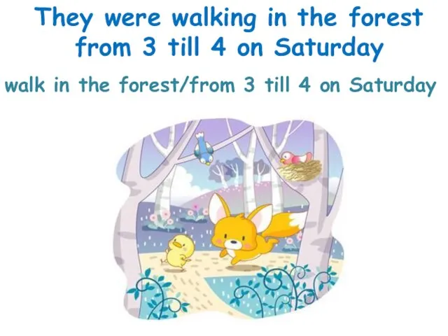 walk in the forest/from 3 till 4 on Saturday They were walking